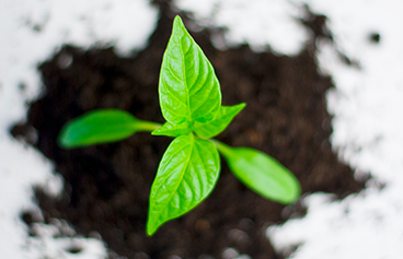Ethical Investments